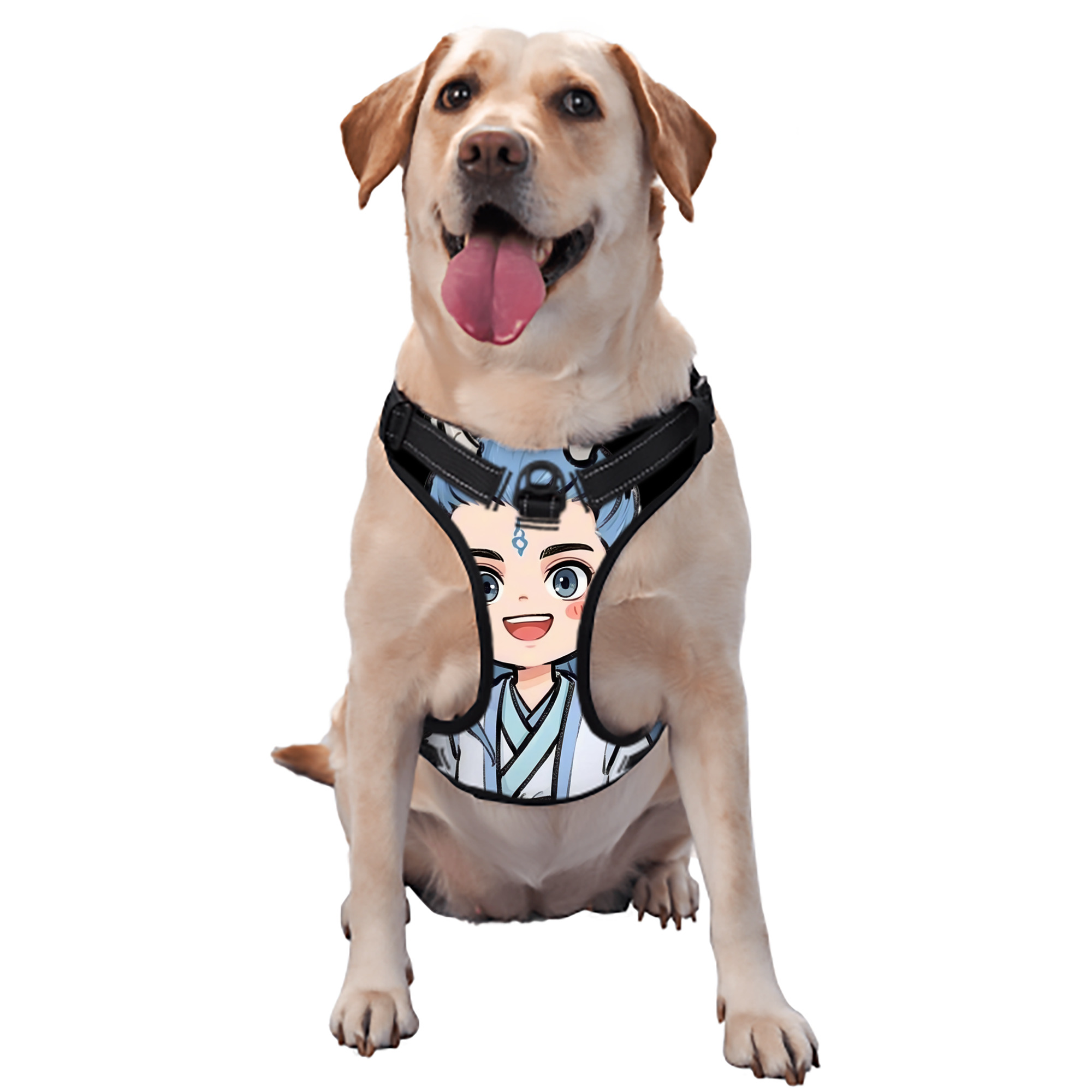 （画像用） Ne Zha 2 ナタ 魔童の大暴れ ペット用ハーネス